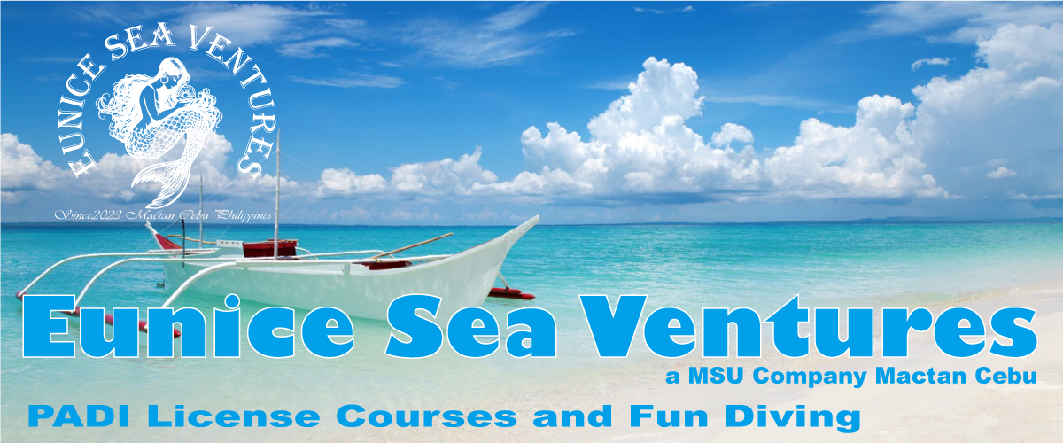 Eunice Sea Ventures